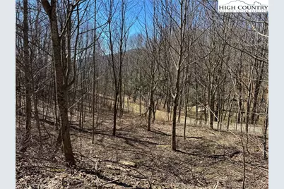 Tbd Lot # 70 Tall Tree Lane, Banner Elk, NC 28604 - Photo 7