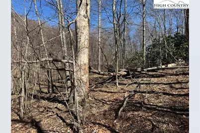 Tbd Lot # 70 Tall Tree Lane, Banner Elk, NC 28604 - Photo 25