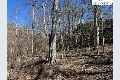 Tbd Tall Tree Lane #70, Banner Elk, NC 28604 - Photo 19