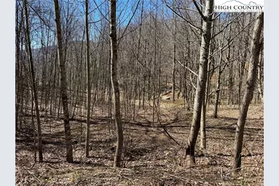 Tbd Tall Tree Lane #70, Banner Elk, NC 28604 - Photo 9