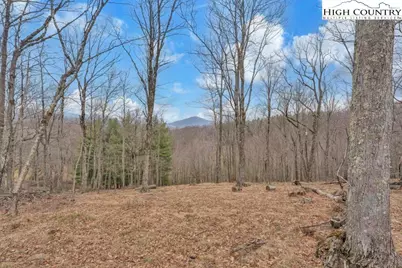 Lot #57 Snowcrest Lane, Boone, NC 28607 - Photo 9