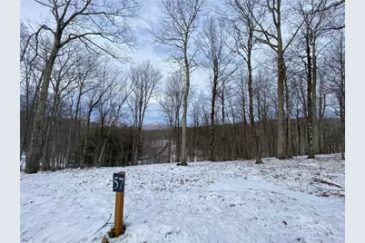 Lot #57 Snowcrest Lane, Boone, NC 28607 - Photo 15