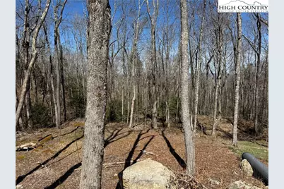 Es71 Twisted Oak Path, Banner Elk, NC 28604 - Photo 5