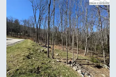 Es71 Twisted Oak Path, Banner Elk, NC 28604 - Photo 17
