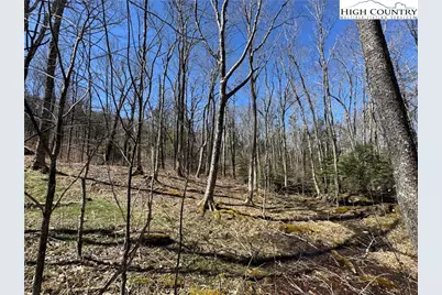 Es71 Twisted Oak Path, Banner Elk, NC 28604 - Photo 23