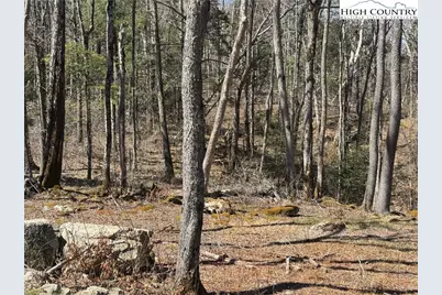 Es71 Twisted Oak Path, Banner Elk, NC 28604 - Photo 9