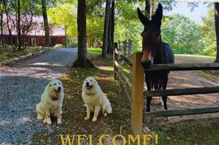 130 Hawkbill Rd, Ferguson, NC 28624 - Photo 3