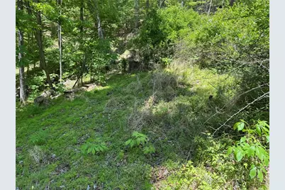 Tbd Happy Berry Drive #21, Grassy Creek, NC 28631 - Photo 7