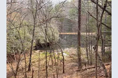 Tbd Happy Berry Drive #21, Grassy Creek, NC 28631 - Photo 11