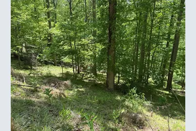 Tbd Happy Berry Drive #21, Grassy Creek, NC 28631 - Photo 5