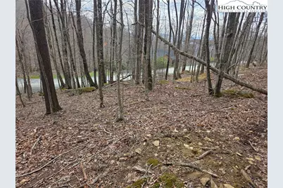 109 Hawthorne Road, Beech Mountain, NC 28604 - Photo 7