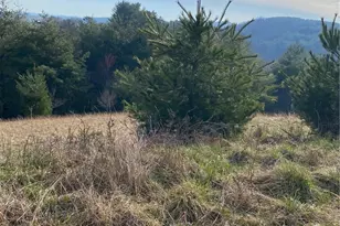 Tbd Autumn Glen Dr, Sparta, NC 28675 - Photo 1