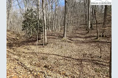 Tbd (Lots 42 & 43) Happy Ridge Road, Piney Creek, NC 28663 - Photo 3