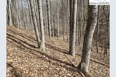 Tbd (Lots 42 & 43) Happy Ridge Road, Piney Creek, NC 28663 - Photo 9