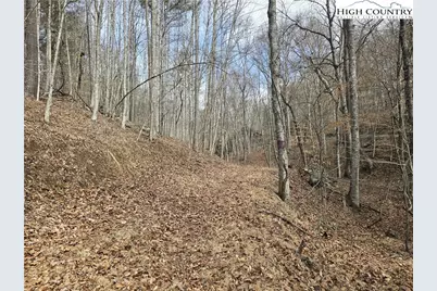 Tbd (Lots 42 & 43) Happy Ridge Road, Piney Creek, NC 28663 - Photo 3