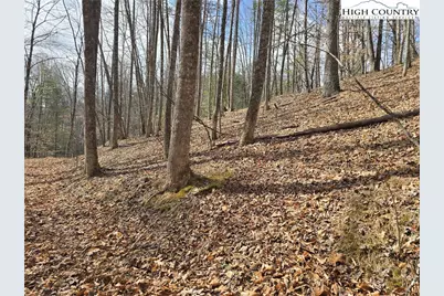 Tbd (Lots 42 & 43) Happy Ridge Road, Piney Creek, NC 28663 - Photo 7