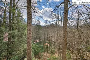 243 Ironwood Dr, Banner Elk, NC 28604 - Photo 41