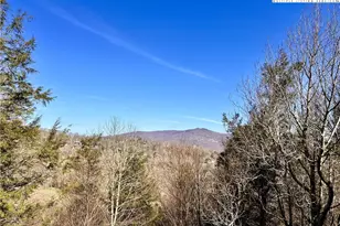 367 Skyleaf Dr, Sugar Mountain, NC 28604 - Photo 1