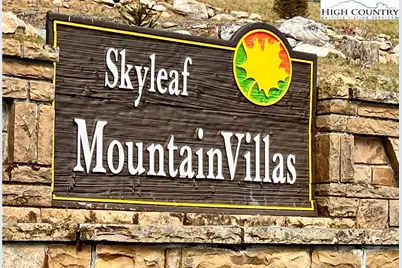 367 Skyleaf Drive #D-4, Sugar Mountain, NC 28604 - Photo 35