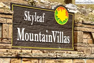 367 Skyleaf Dr, Sugar Mountain, NC 28604 - Photo 35