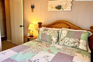 367 Skyleaf Dr, Sugar Mountain, NC 28604 - Photo 27