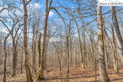 Lot E4 & E5 Firetower Road, Boone, NC 28607 - Photo 7