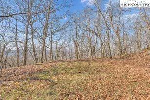 Lot E4 & E5 Firetower Rd, Boone, NC 28607 - Photo 1