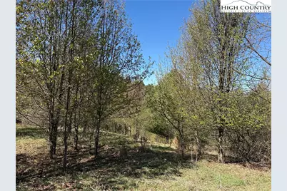 Tbd (Lot 21 & 22) Martha Lane, Piney Creek, NC 28663 - Photo 9