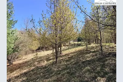 Tbd (Lot 21 & 22) Martha Lane, Piney Creek, NC 28663 - Photo 13