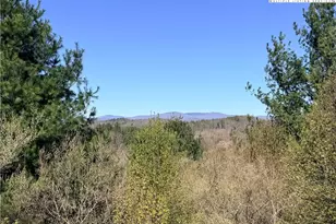 Tbd (Lot 21 & 22) Martha Ln, Piney Creek, NC 28663 - Photo 1