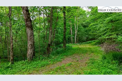 233 Woodland Springs Trail, Boone, NC 28607 - Photo 11