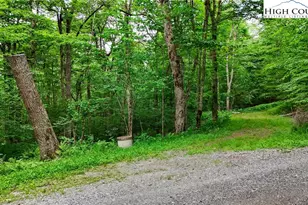 233 Woodland Springs Trail, Boone, NC 28607 - Photo 1