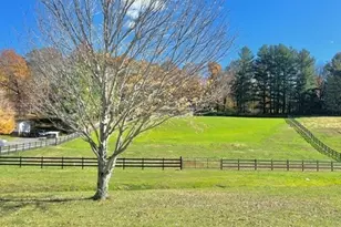 2141 Mt Jefferson Rd, West Jefferson, NC 28694 - Photo 3