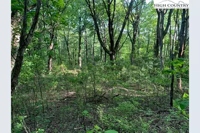 1476 John Alley Road, Lansing, NC 28643 - Photo 35