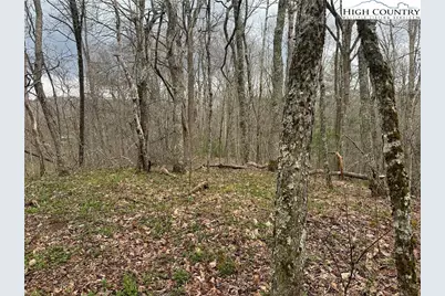 1476 John Alley Road, Lansing, NC 28643 - Photo 5