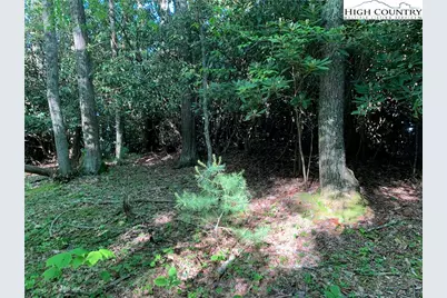 1476 John Alley Road, Lansing, NC 28643 - Photo 41