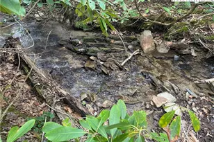 1476 John Alley Rd, Lansing, NC 28643 - Photo 1