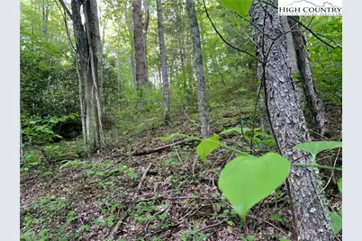 1476 John Alley Road, Lansing, NC 28643 - Photo 43