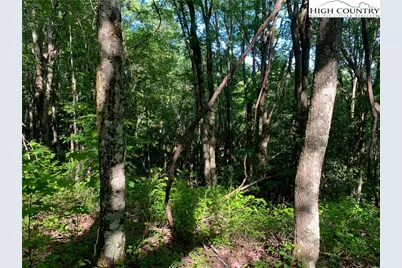 1476 John Alley Road, Lansing, NC 28643 - Photo 23