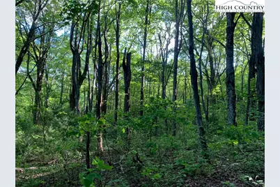 1476 John Alley Road, Lansing, NC 28643 - Photo 39