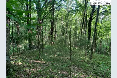 1476 John Alley Road, Lansing, NC 28643 - Photo 31