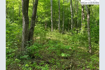 1476 John Alley Road, Lansing, NC 28643 - Photo 21