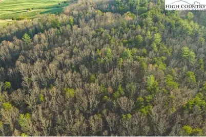 Tbd Lot 1 All Healing Springs Road, Taylorsville, NC 28681 - Photo 9