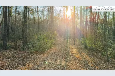 Tract 4 All Healing Springs Road, Taylorsville, NC 28681 - Photo 17
