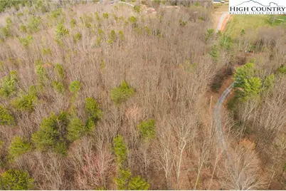 Tract 4 All Healing Springs Road, Taylorsville, NC 28681 - Photo 3