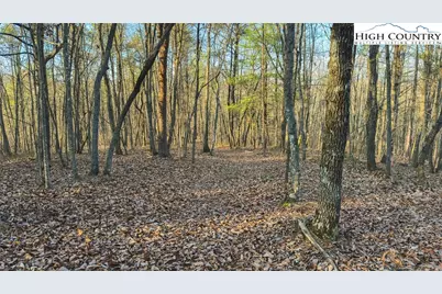 Tract 4 All Healing Springs Road, Taylorsville, NC 28681 - Photo 19