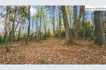 Tbd Lot 1 All Healing Springs Road, Taylorsville, NC 28681 - Photo 11