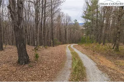 Tract 4 All Healing Springs Road, Taylorsville, NC 28681 - Photo 1