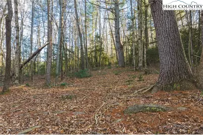 Tract 4 All Healing Springs Road, Taylorsville, NC 28681 - Photo 7