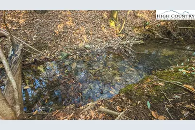 Tract 4 All Healing Springs Road, Taylorsville, NC 28681 - Photo 13